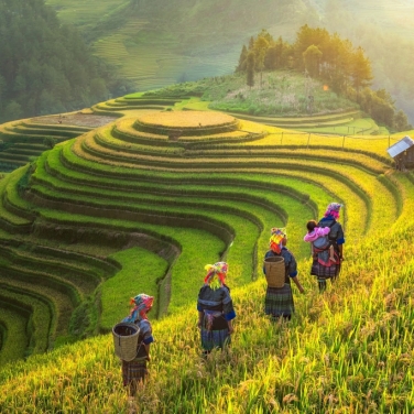 Bộ VHTTDL sẽ tổ chức Triển lãm “Du lịch qua các miền Di sản văn hóa Việt Nam năm 2020” từ 19-23/11